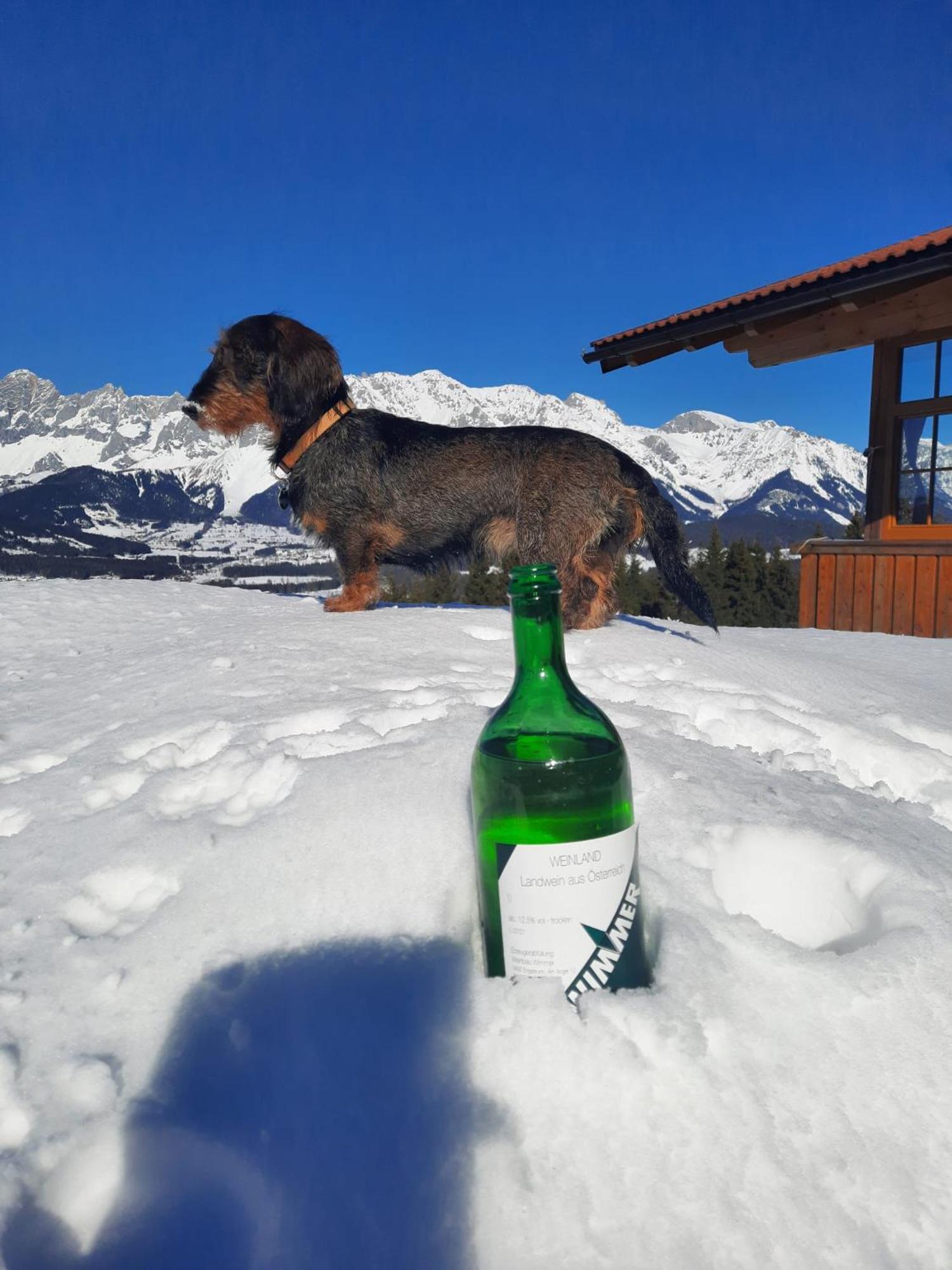 Haus Rigl Διαμέρισμα Schladming Εξωτερικό φωτογραφία