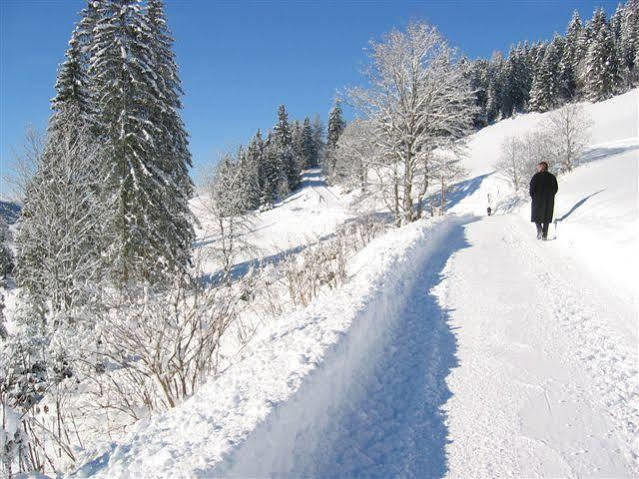 Haus Rigl Διαμέρισμα Schladming Εξωτερικό φωτογραφία